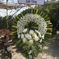 HOA CHIA BUỒN