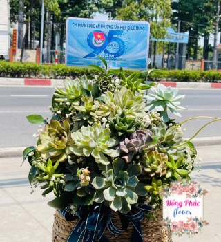 Giỏ hoa sen đá khai trương
